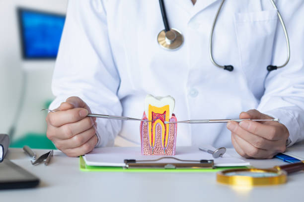 Best Emergency TMJ Treatment in Wortham, TX